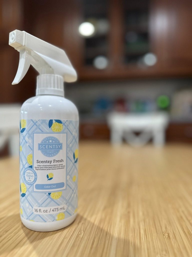 how to get rid of odors in your home with Scentsy products